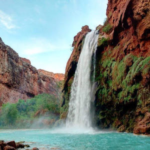 Meet your Posher, Jeneine